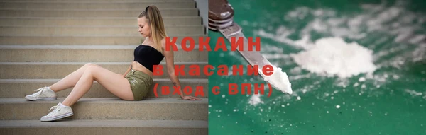 дживик Богородск