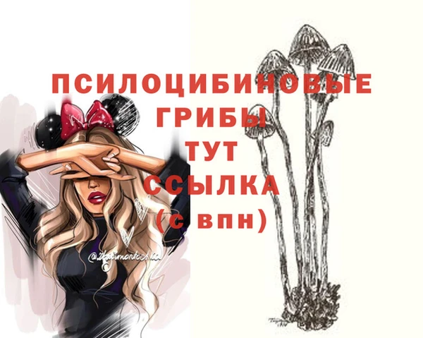 mdpv Богородицк
