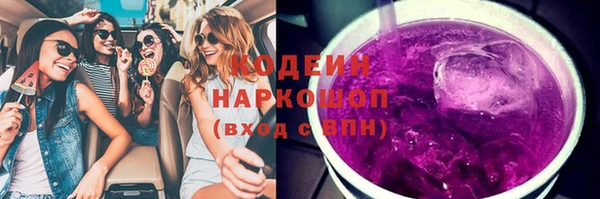 дживик Богородск